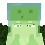 Slime Girl jenny minecraft