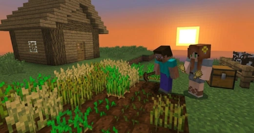 Farming Crops Together
